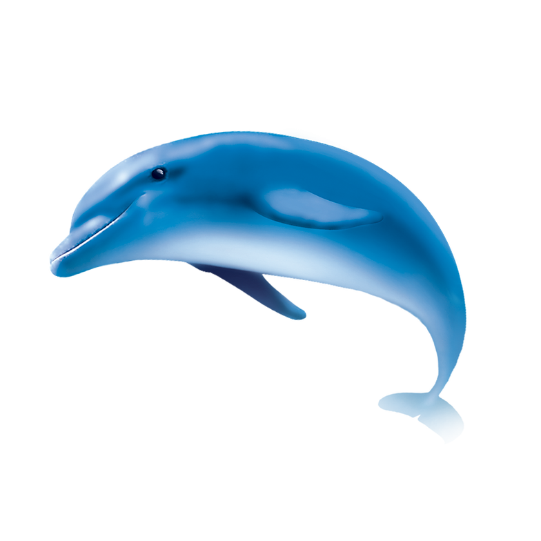 PNG HD Dolphin - 154297