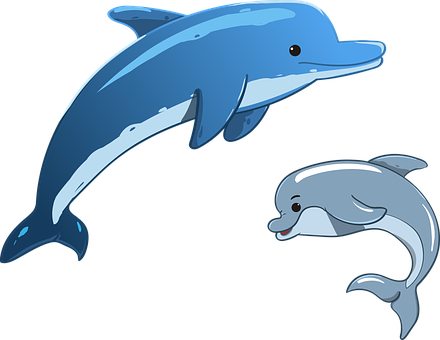 PNG HD Dolphin - 154302
