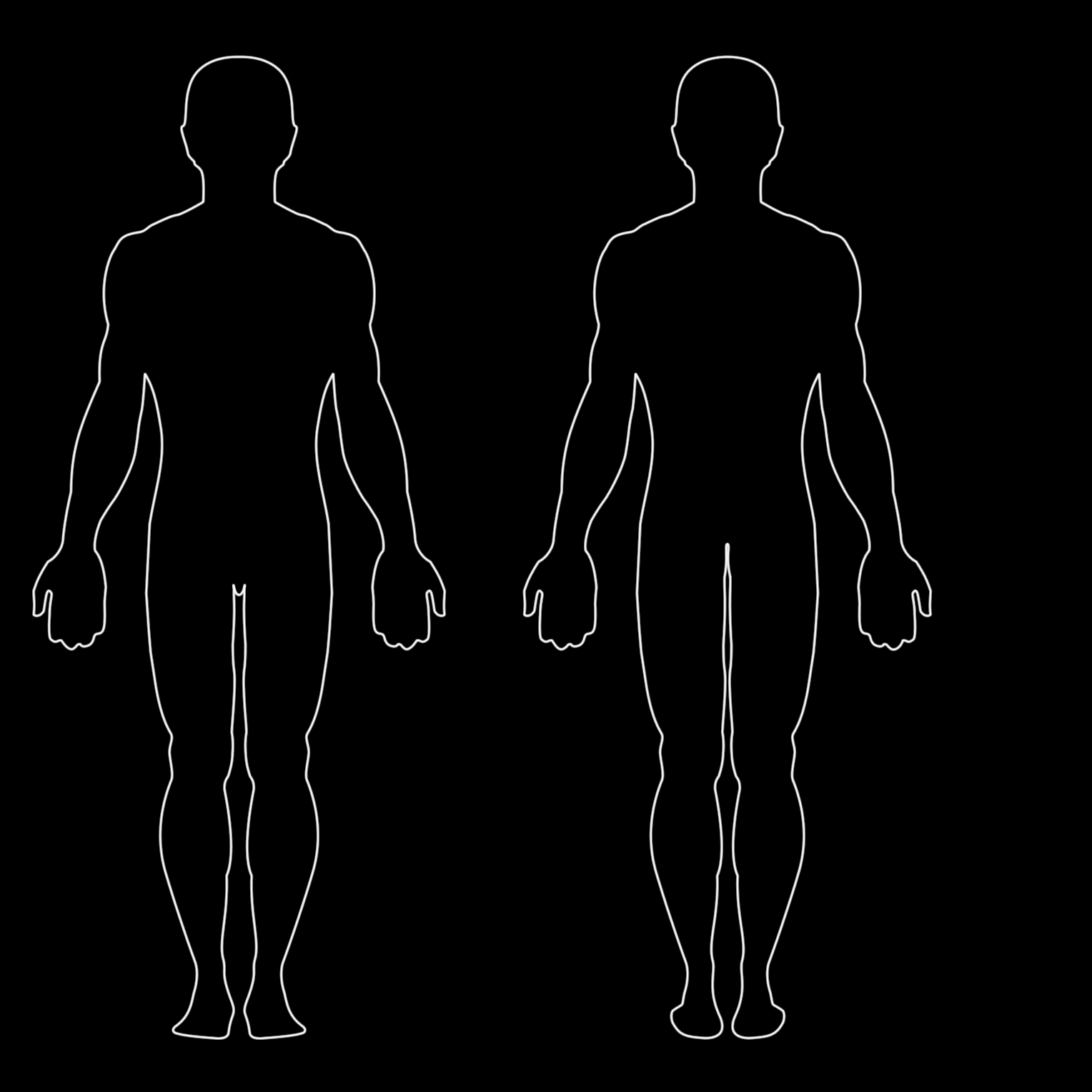 PNG HD Human Body Outline - 153863