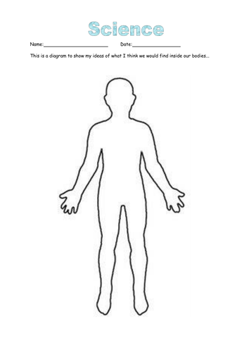 PNG HD Human Body Outline - 153870