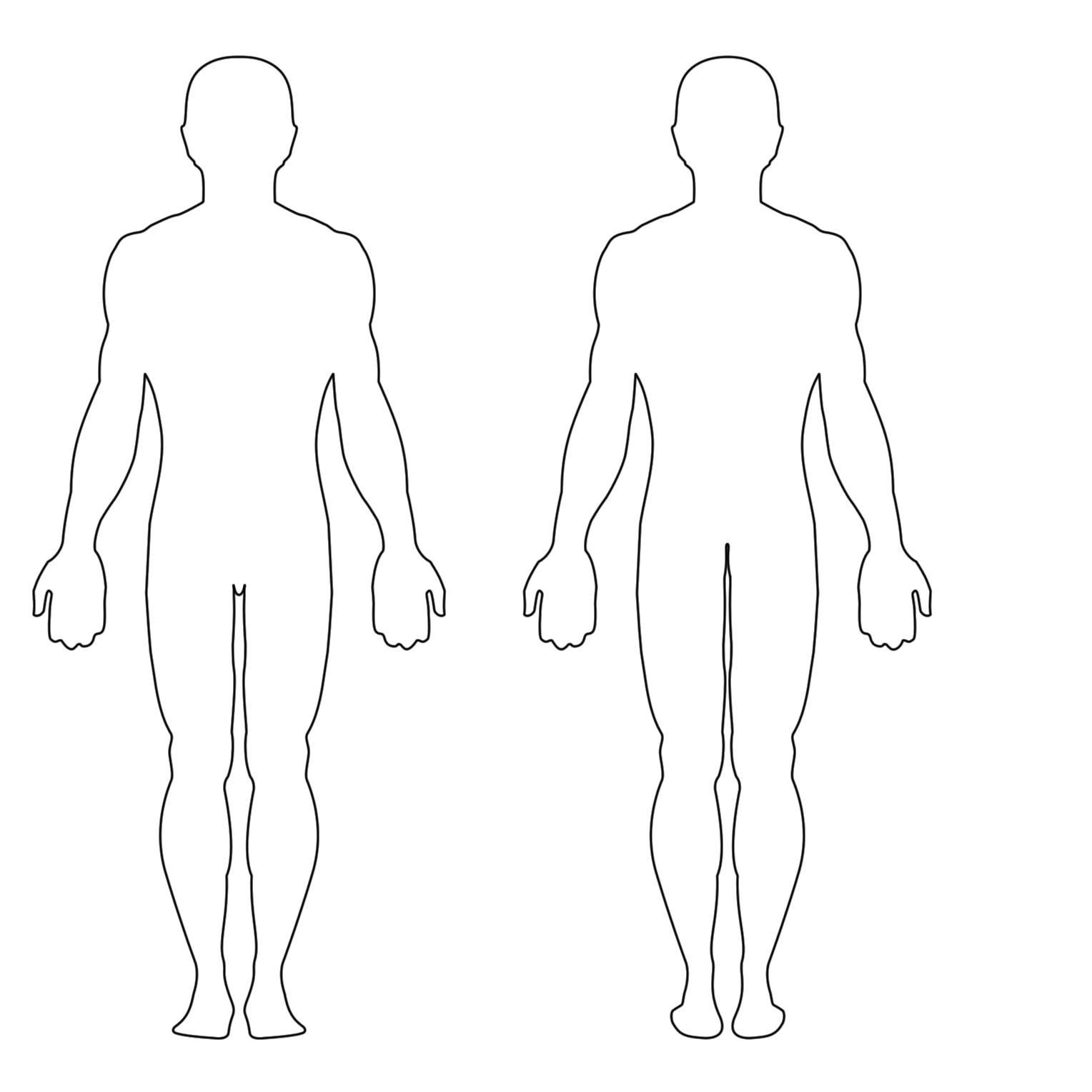 PNG HD Human Body Outline - 153864