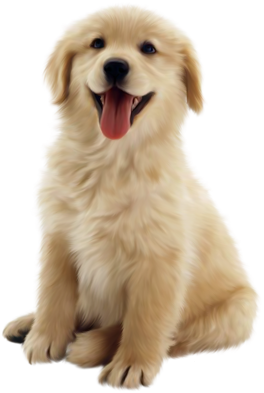 PNG HD Of Puppies - 138271