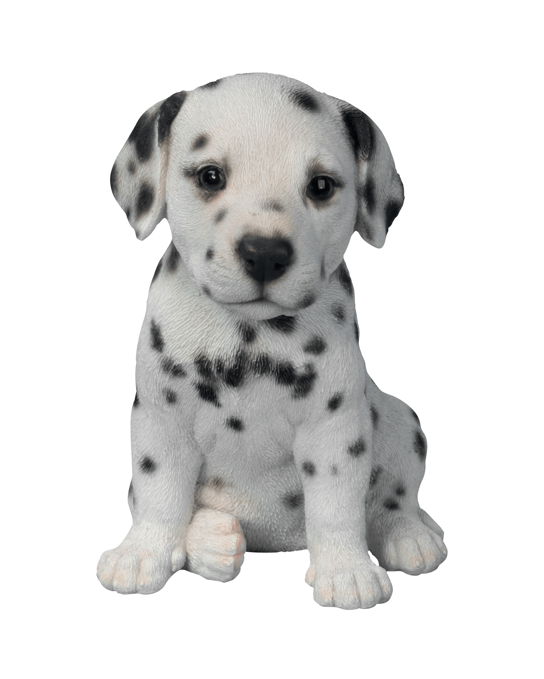 PNG HD Of Puppies - 138272