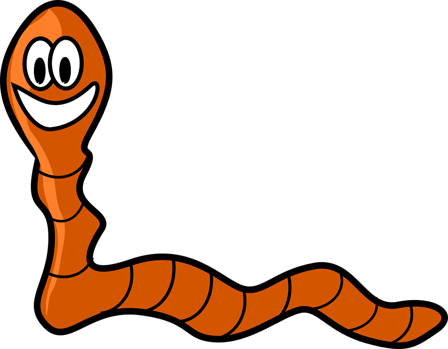 PNG HD Of Worms - 122136