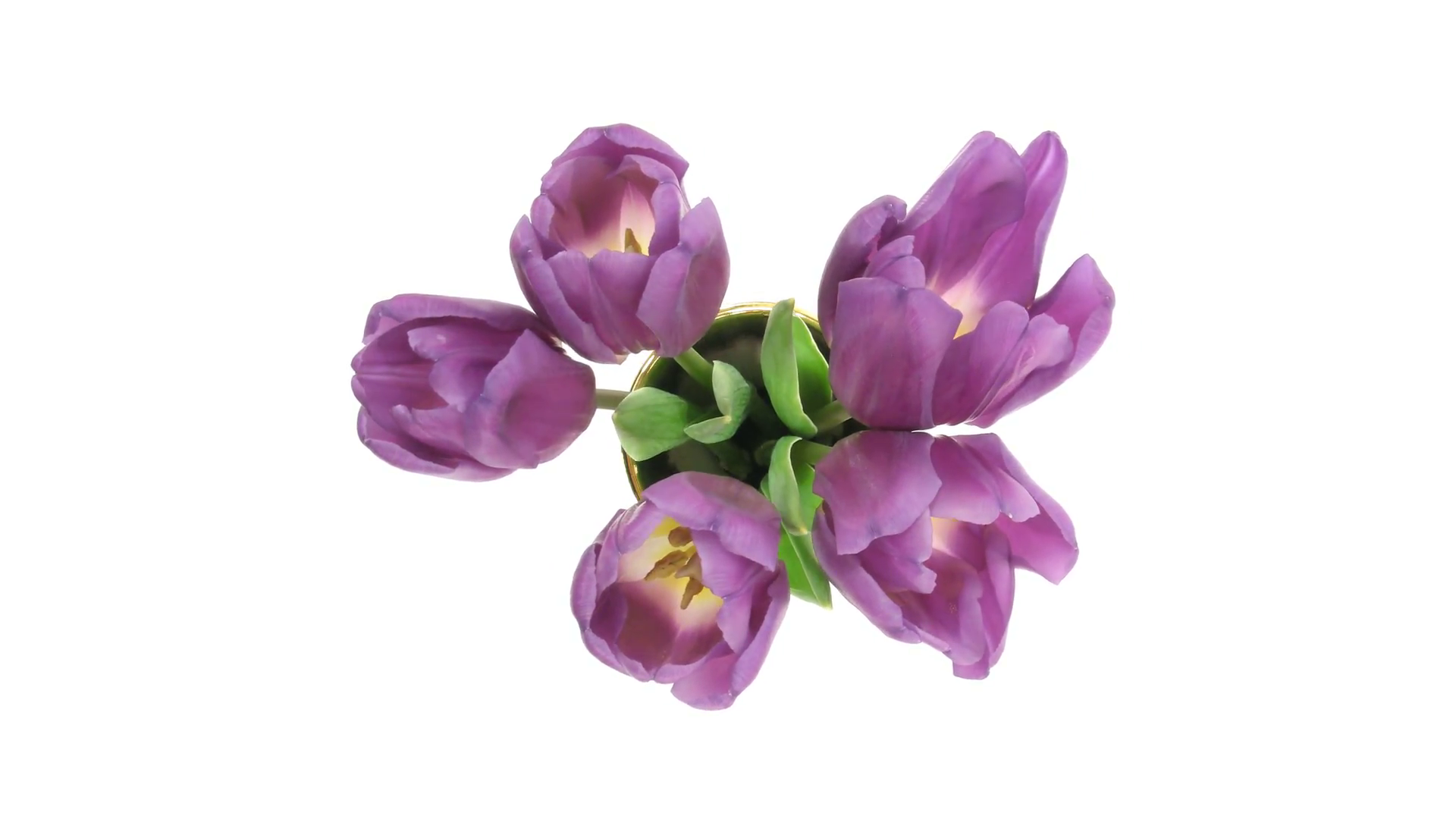 PNG HD Vase Of Flowers - 147206