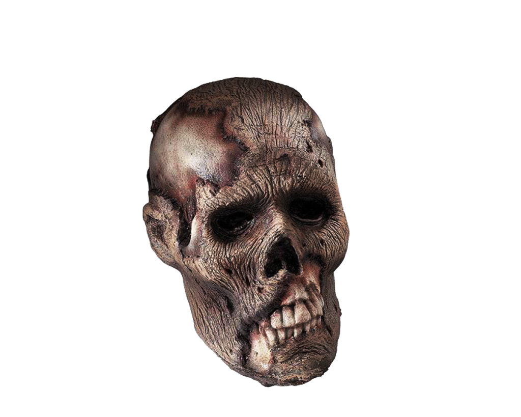 Skeleton Head PNG - 2015