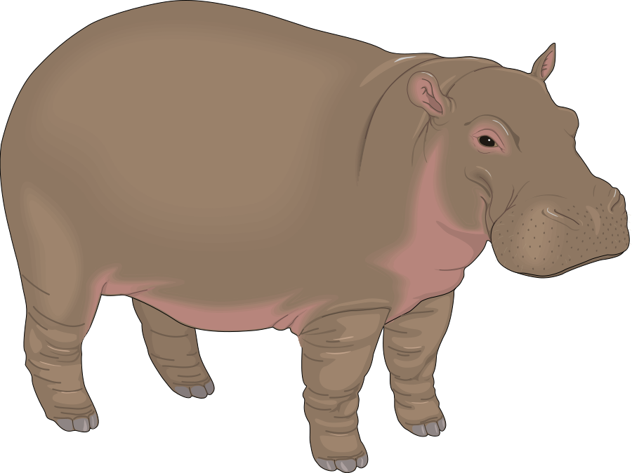 PNG Hippopotamus - 65440