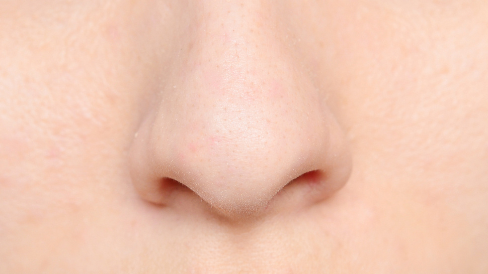 PNG Human Nose - 69790