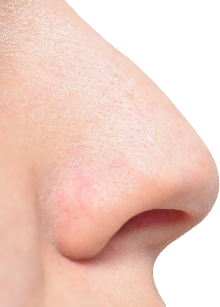 PNG Human Nose - 69780