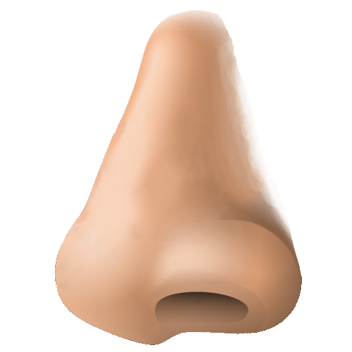 PNG Human Nose