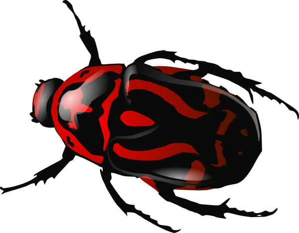 Insect Beetle Clip Art