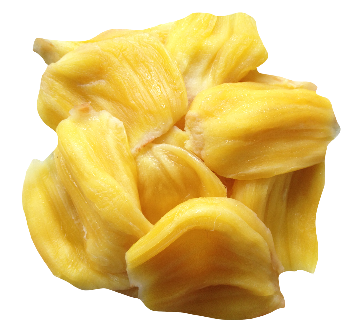 PNG Jackfruit - 70075