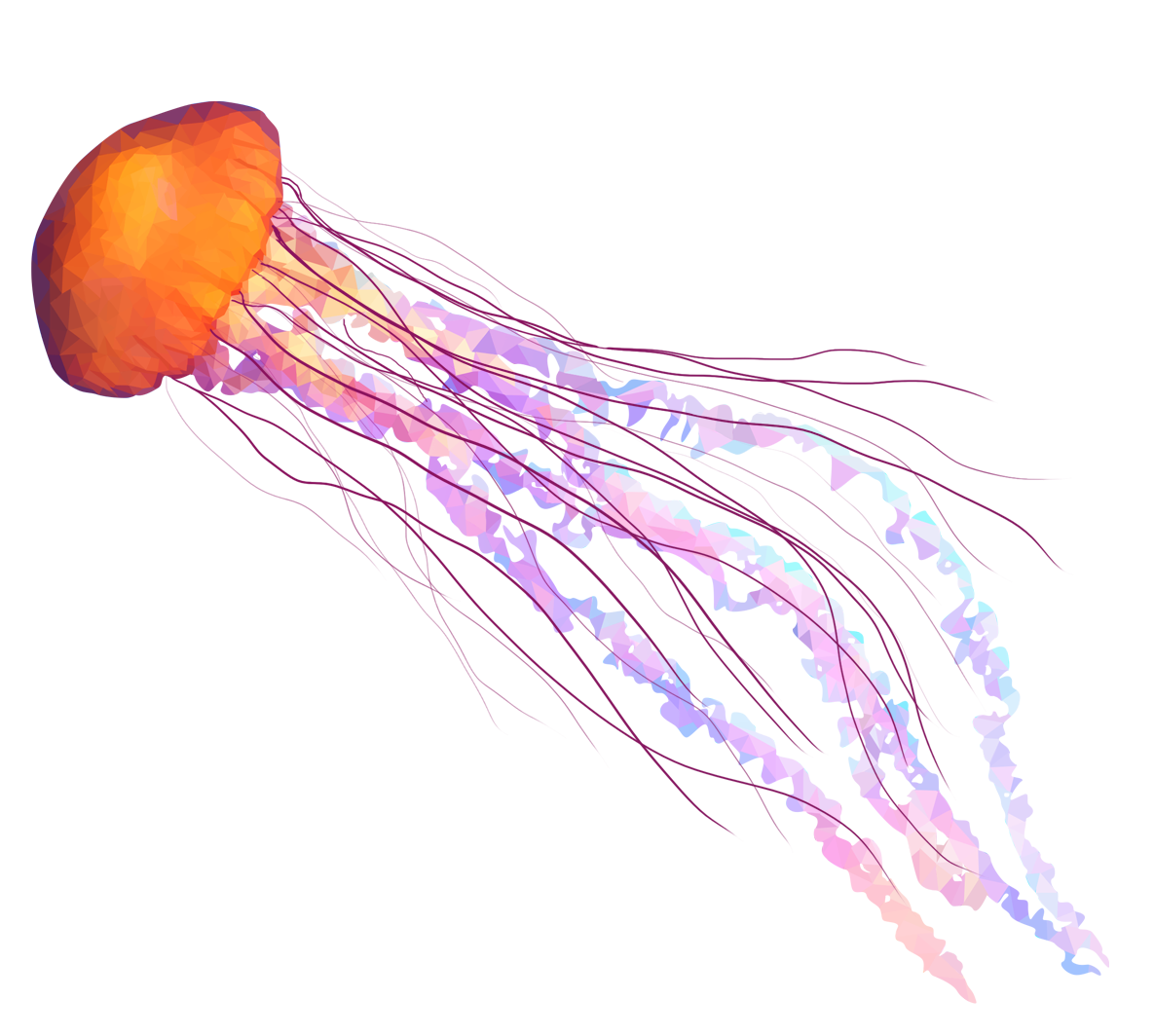 Jellyfish, Hand-painted Jelly