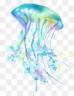 Jellyfish in the sea, Sea, Oc
