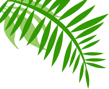 PNG Jungle Leaf - 48845