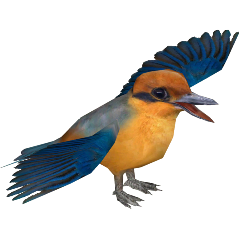 PNG Kingfisher Bird - 88340