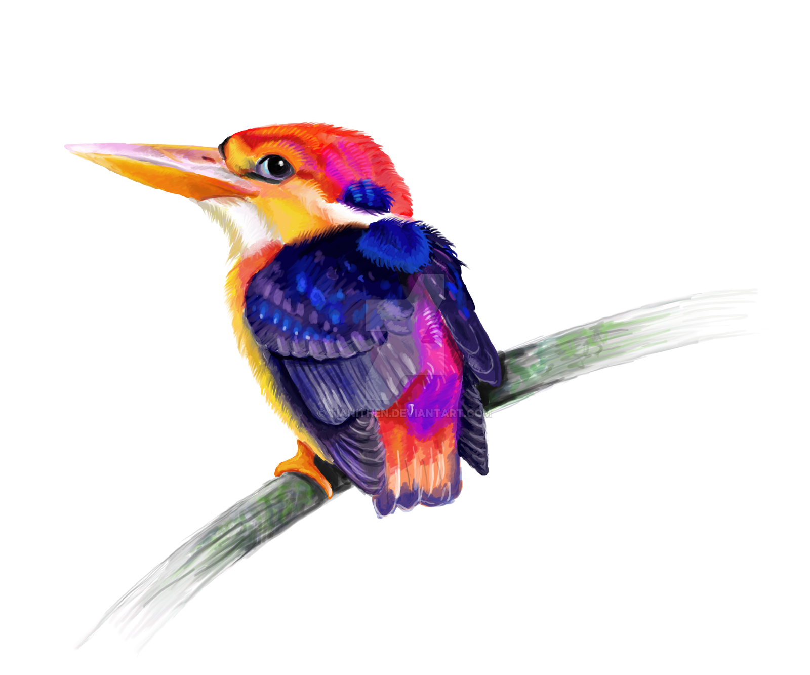 PNG Kingfisher Bird - 88334