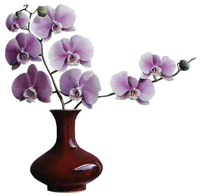 PNG Kwiaty Sloneczniki - 46730