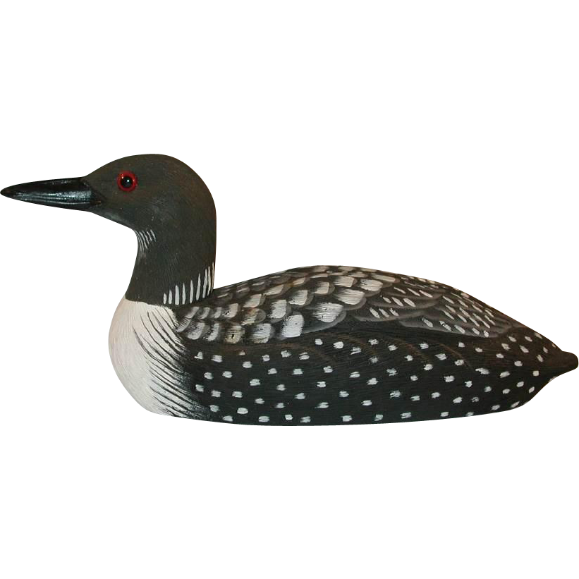 Collection of PNG Loon. | PlusPNG