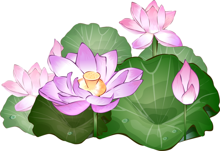 pin Vase clipart lotus flower