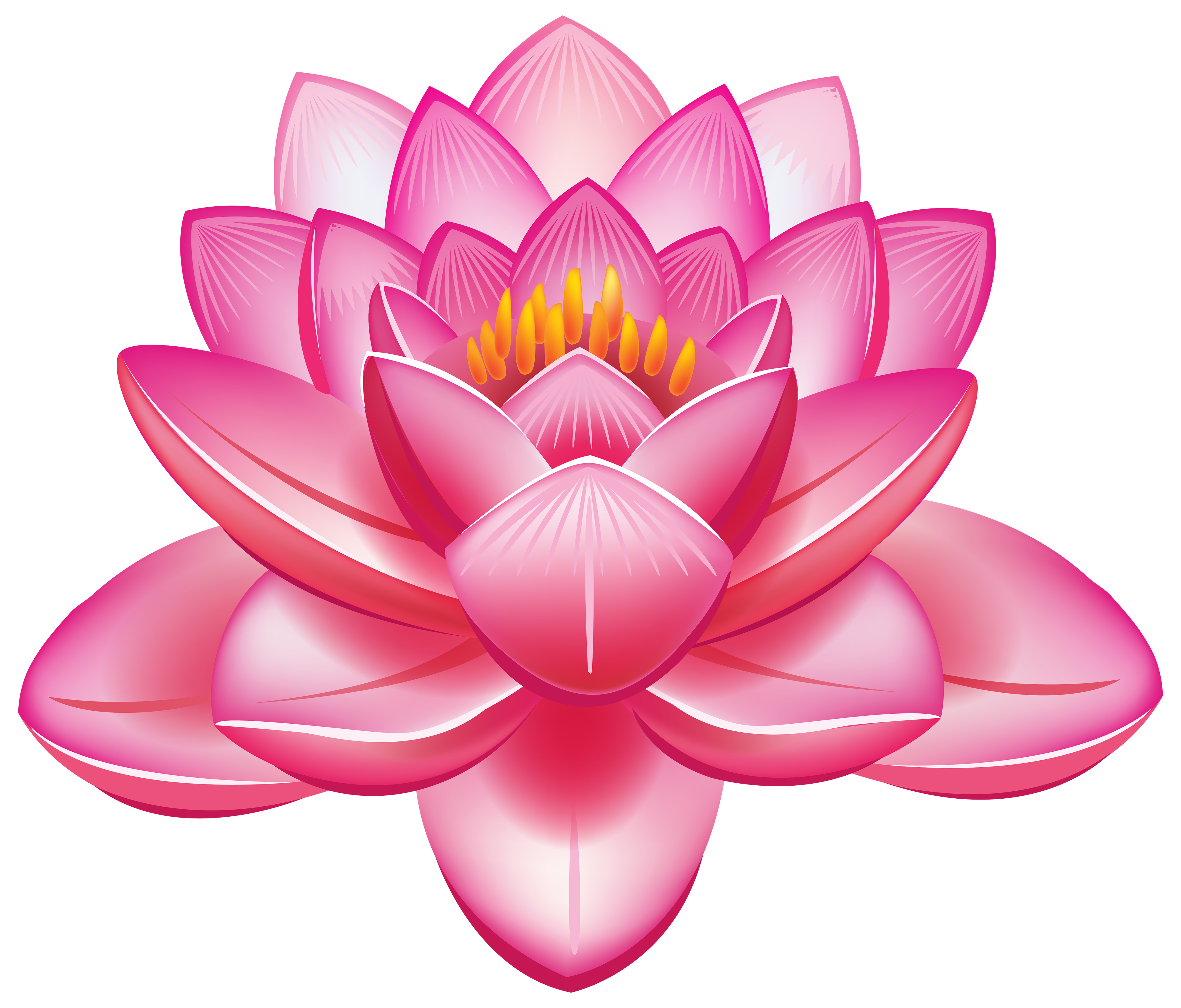 Lotus Blossom Clip Art | Beau