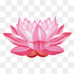 PNG Lotus Flower - 44932