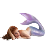 PNG Mermaid - 46247