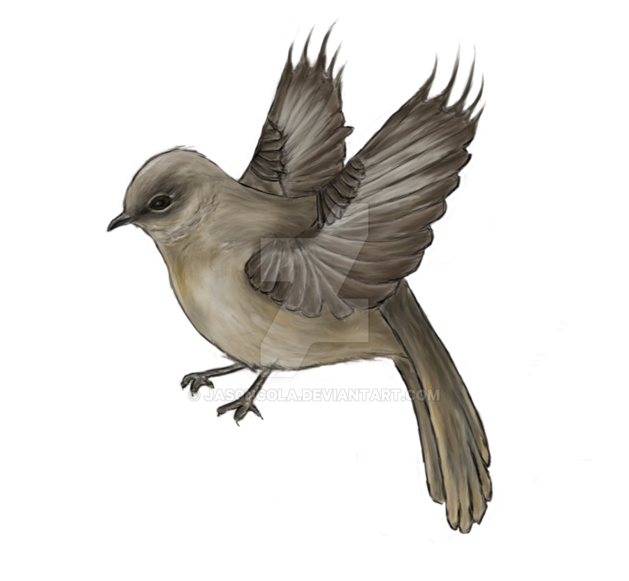 PNG Mockingbird - 42419