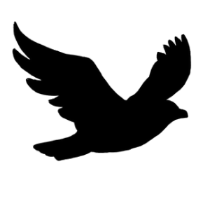 PNG Mockingbird - 42418