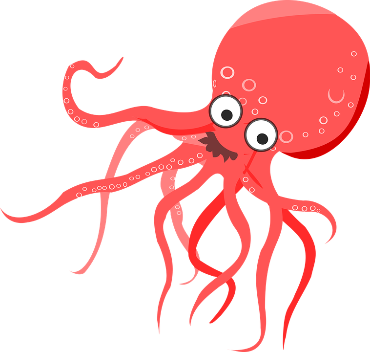 PNG Octopus Free - 71861