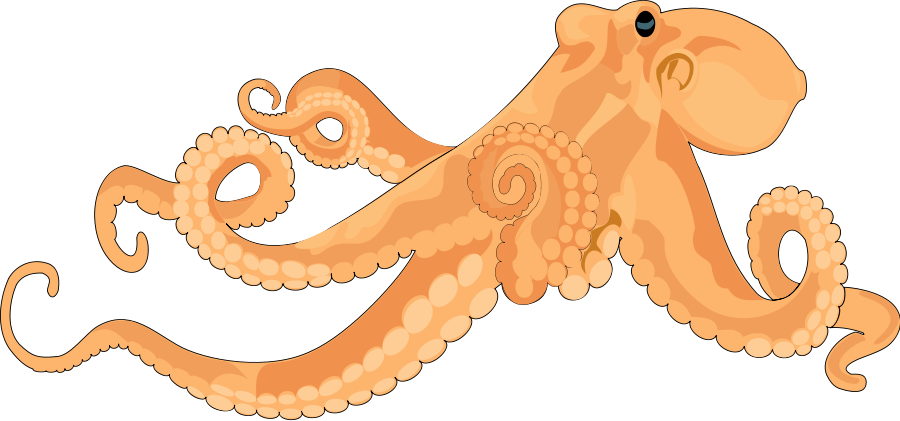 PNG Octopus Free - 71858