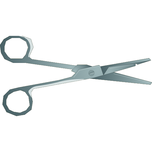 PNG Of A Pair Of Scissors - 158656