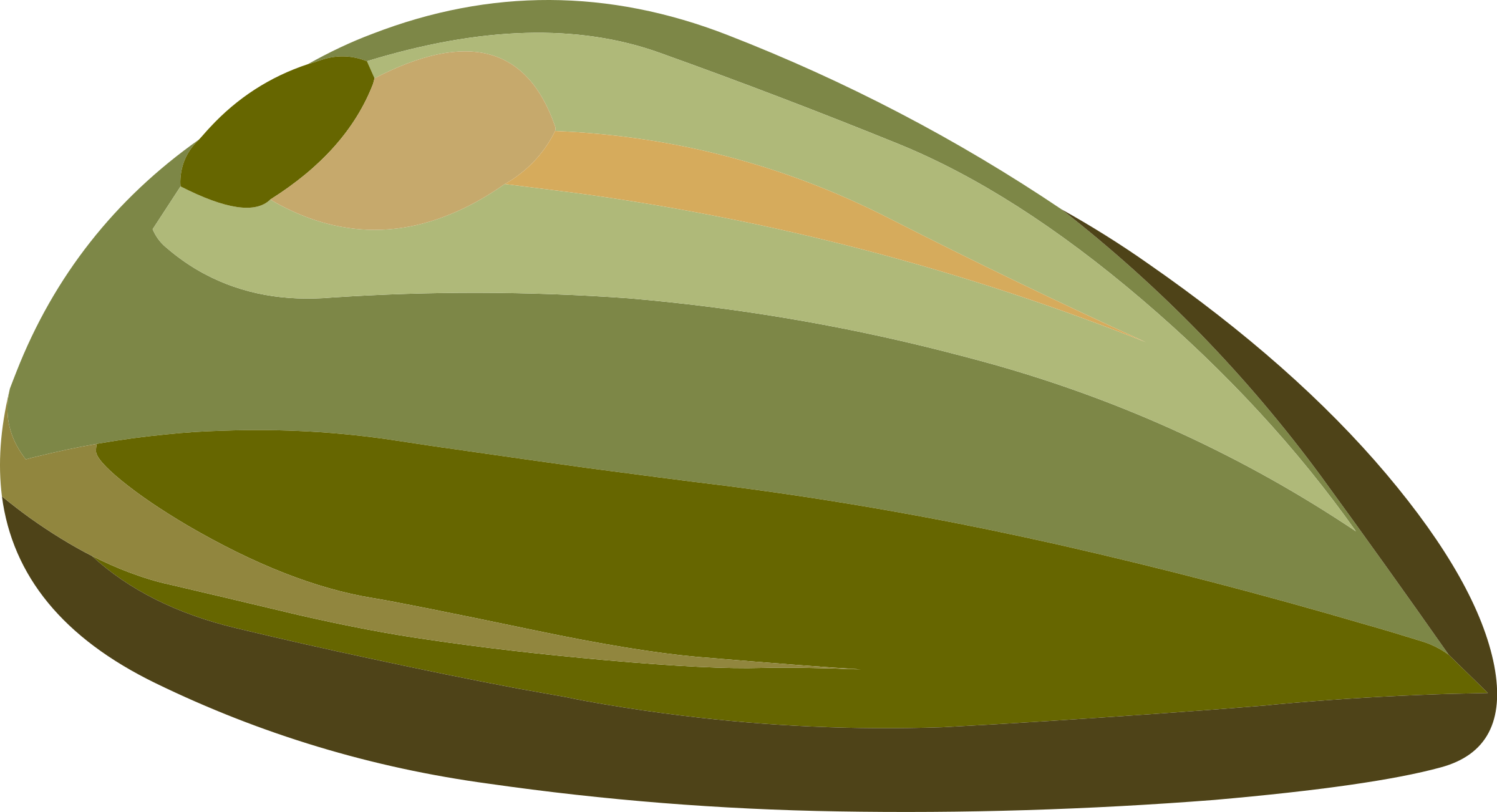 PNG Of A Seed - 167238