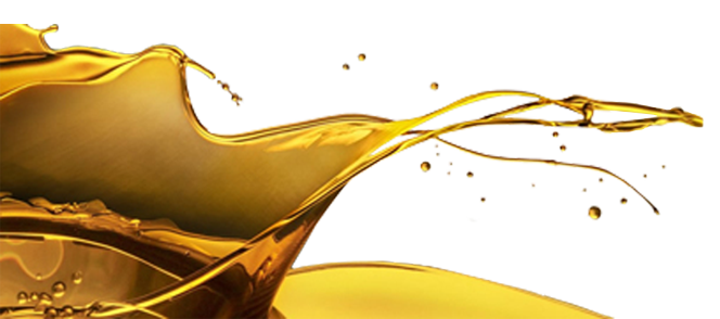 Olive Oil Free PNG Image