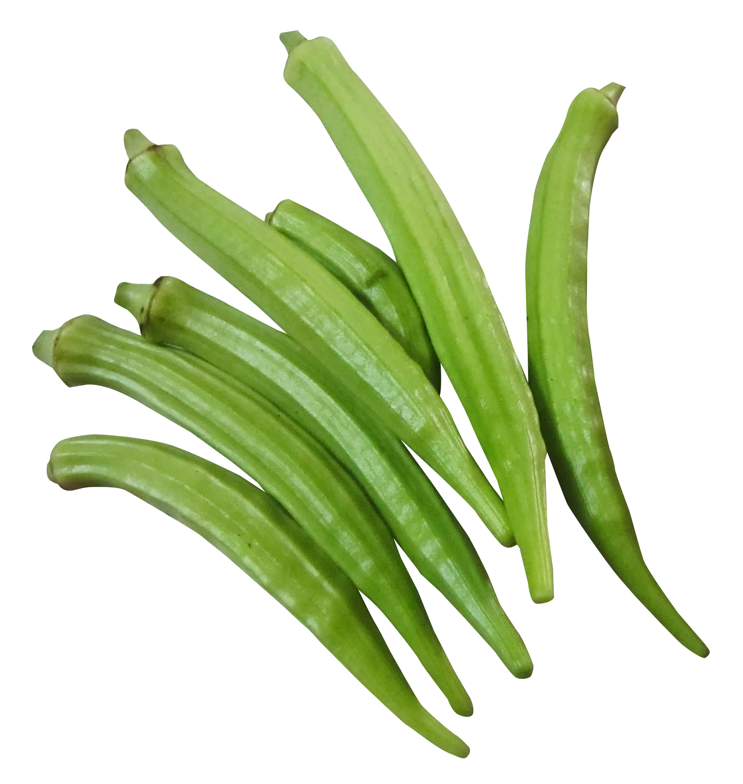 Green Okra, Bhindi, Fresh Lad