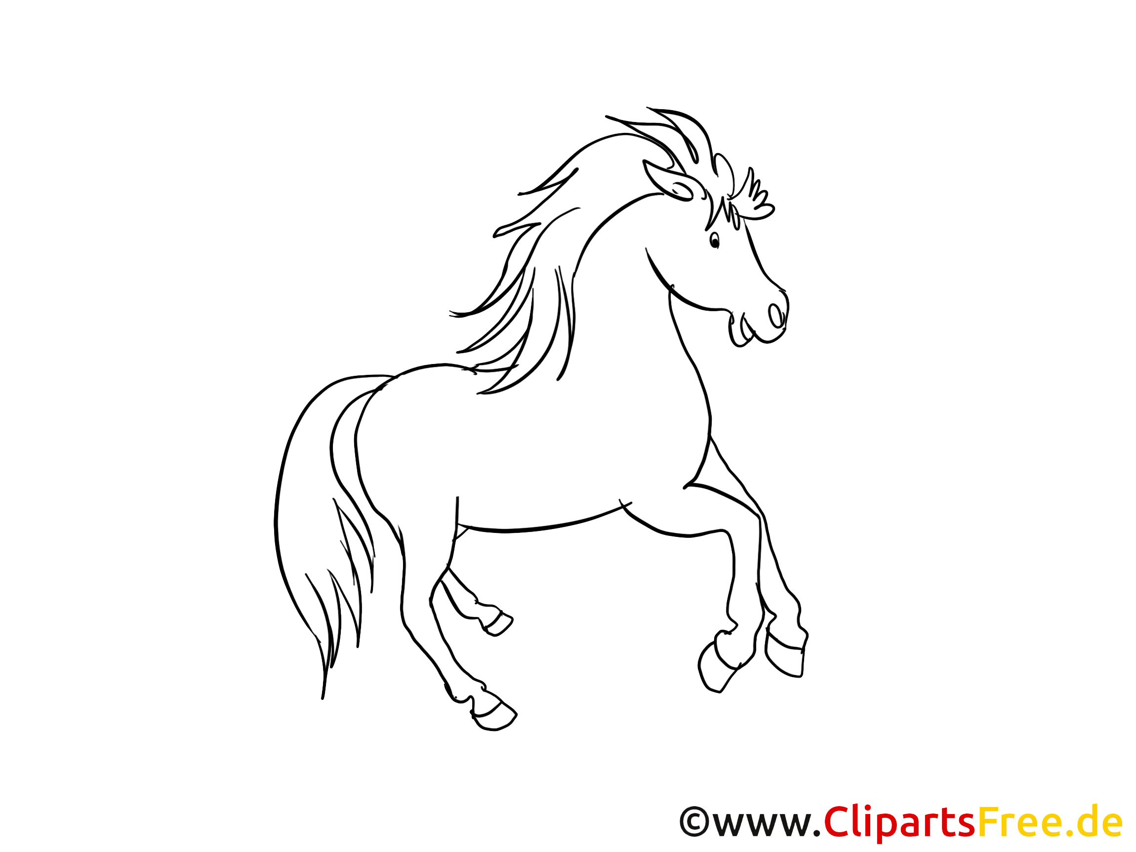 Pferde Zeichnungen