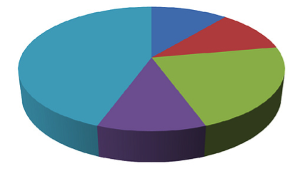 PNG Pie Chart - 75626