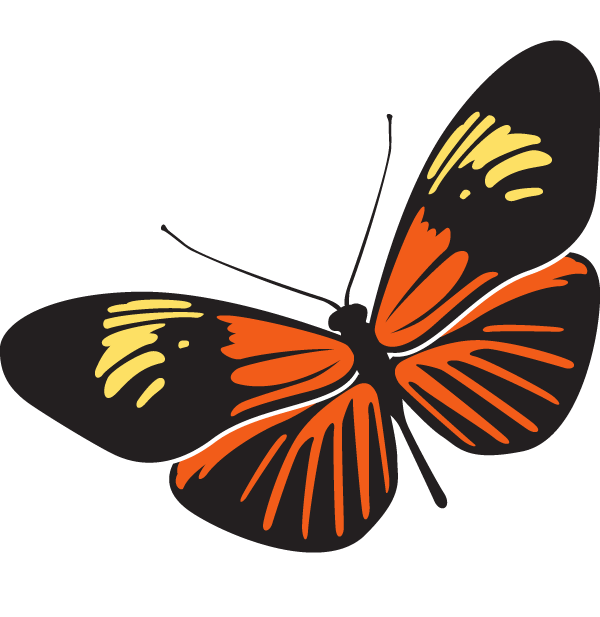 cartoon butterflies clipart