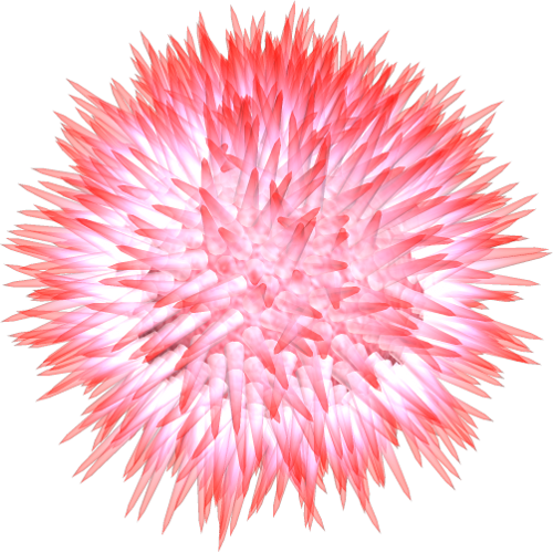 Sea Urchin by clipartcotttage
