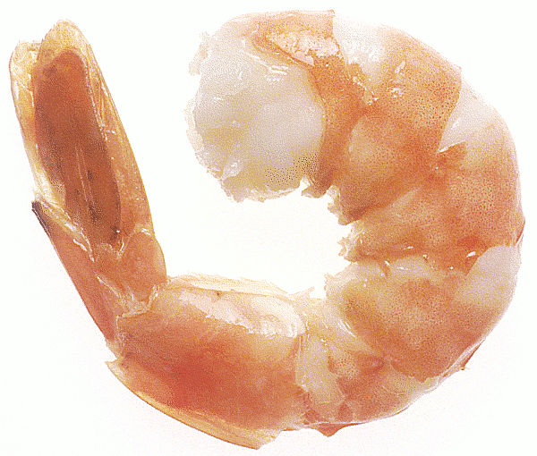 PNG Shrimp - 84517