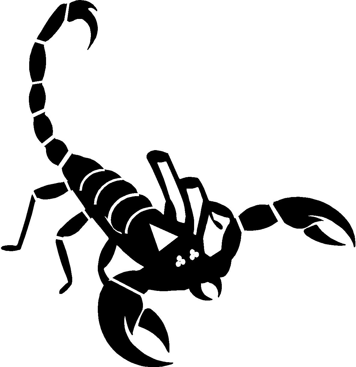 Skorpion, Insekt, Giftig, Aug