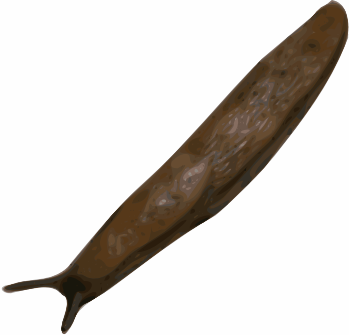 PNG Slug - 85613