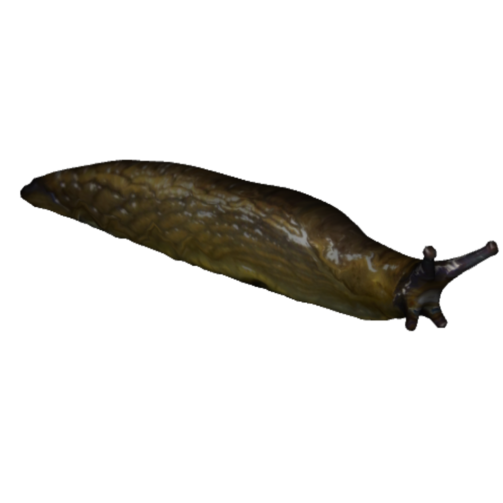 PNG Slug - 85600