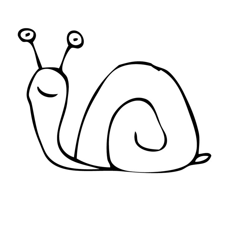 PNG Snail Black And White - 86830
