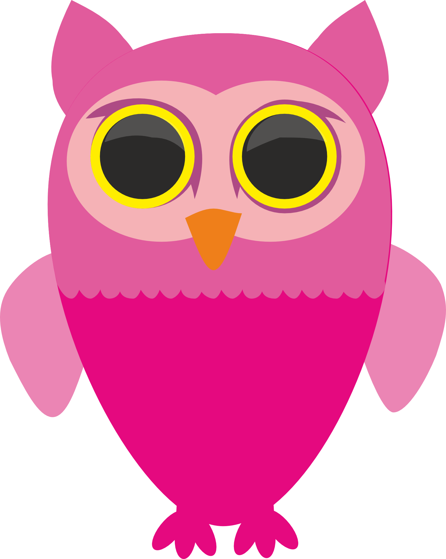 QTshop - SOWA owl bluza męsk