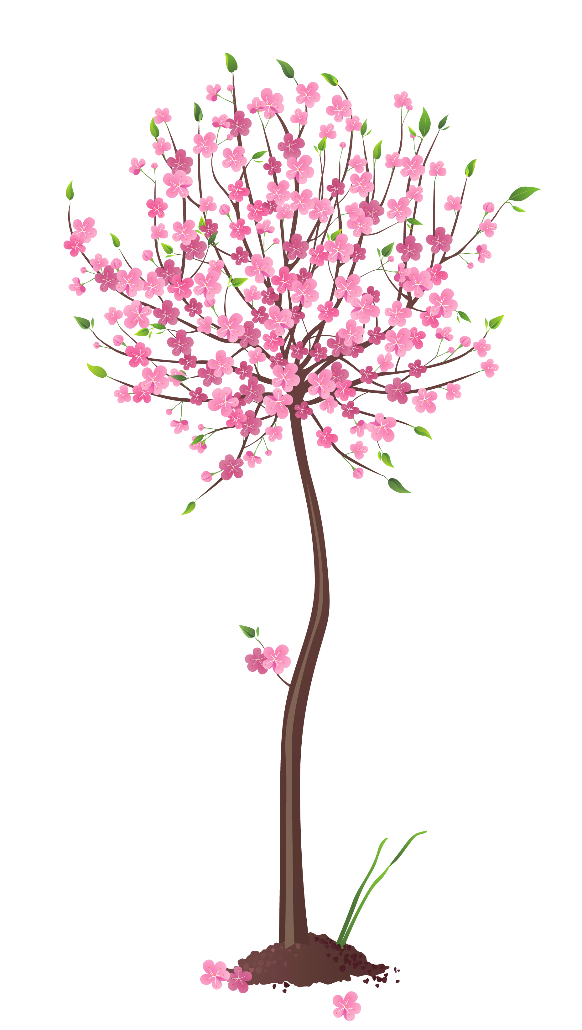 PNG Spring Tree - 85333