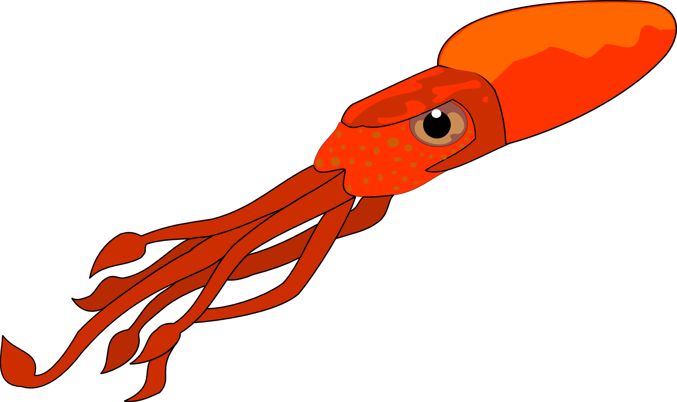 PNG Squid - 59704
