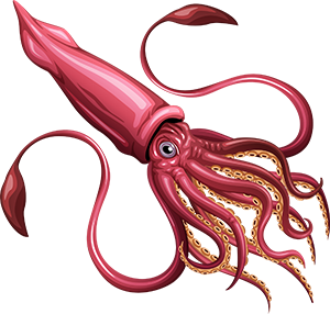 PNG Squid - 59708