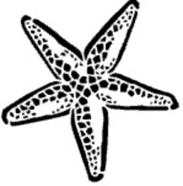 PNG Starfish Black And White - 59837