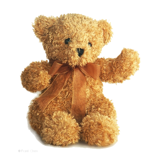 PNG Teddy - 57613